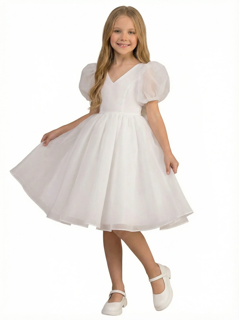 Wedding Flowers Pageant Dress V Neck Flower Princess Dress Princess Lace