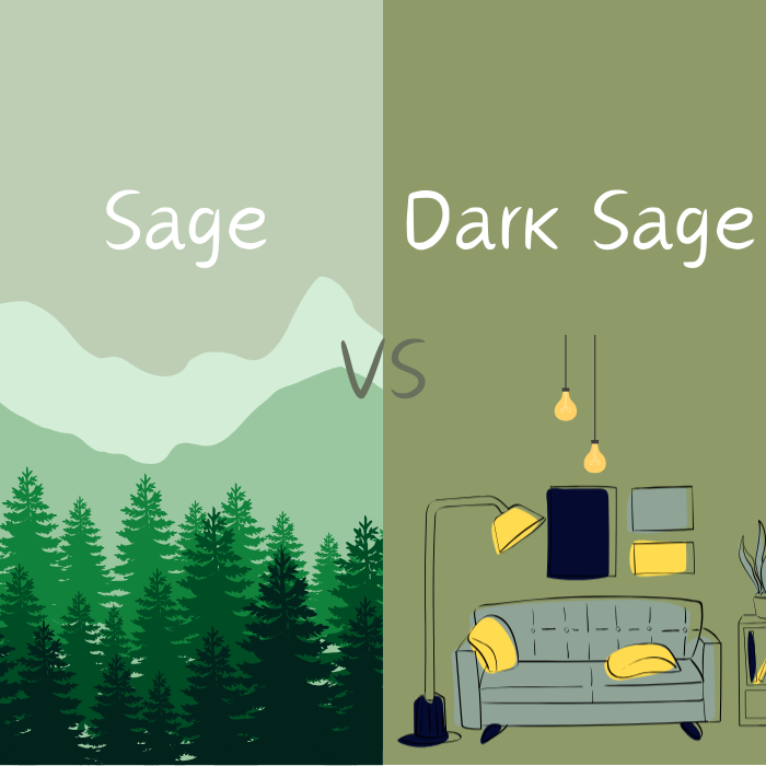 Sage vs. Dusty Sage: What's the Difference