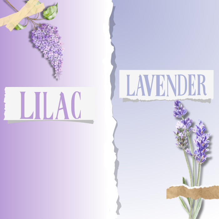 Lilac vs. Lavender: Bridesmaid Dress Color Comparison