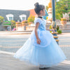 Flower Girls Blue Fairytale A-line Princess Gown for Wedding Kids Dress