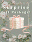 Free limited-time surprise package C