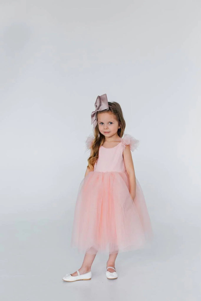 Girls Birthday Dress Flower Girl Dress Communion Gowns Princess Queen Birthday Party Dress for Cute Little Girl