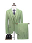 Sage Classic 3 Piece Men's Suit with Regular Fit and Sophisticated Peak Lapel CN476