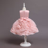 Flower Girls Dress Formal with Roses and Bow A-line Tulle Princess Gown for Wedding