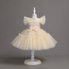 Flower Girls Dress Formal with Bow Sequin & Feathers A-line Tulle Princess Gown for Wedding