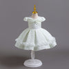 Lace Satin Flower Girls Dress Cute Princess Gown for Wedding Kids Tutu Dresses