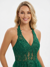 Elegant Halter Lace Appliques Tulle Prom Dress