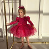 Cute High Low Flower Girls Dresses Satin Tulle Capped Sleeves Lace Applique Kids Princess Pageant Party Gown