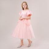 Luxury Lace Flower Girls Dress Elegant Tulle Princess Gown for Wedding