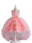 Elegant Luxury Tulle Flower Girls Dress Cupcake Princess Gown for Wedding Tutu Dress