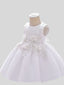 Toddler girl Flower Girl Dresses for Weddings and Party Dresses For Girls Elegant prom party birthday gown