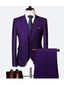 Purple Casual Men's 3 Pieces Mens Suit Regular Fit Notch Lapel Tuxedos (Blazer+vest+Pants) CN436