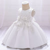 Toddler girl Flower Girl Dresses for Weddings and Party Dresses For Girls Elegant prom party birthday gown