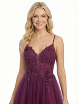 Spaghetti Strap Lace Beaded Tulle A-Line Formal Prom Dress