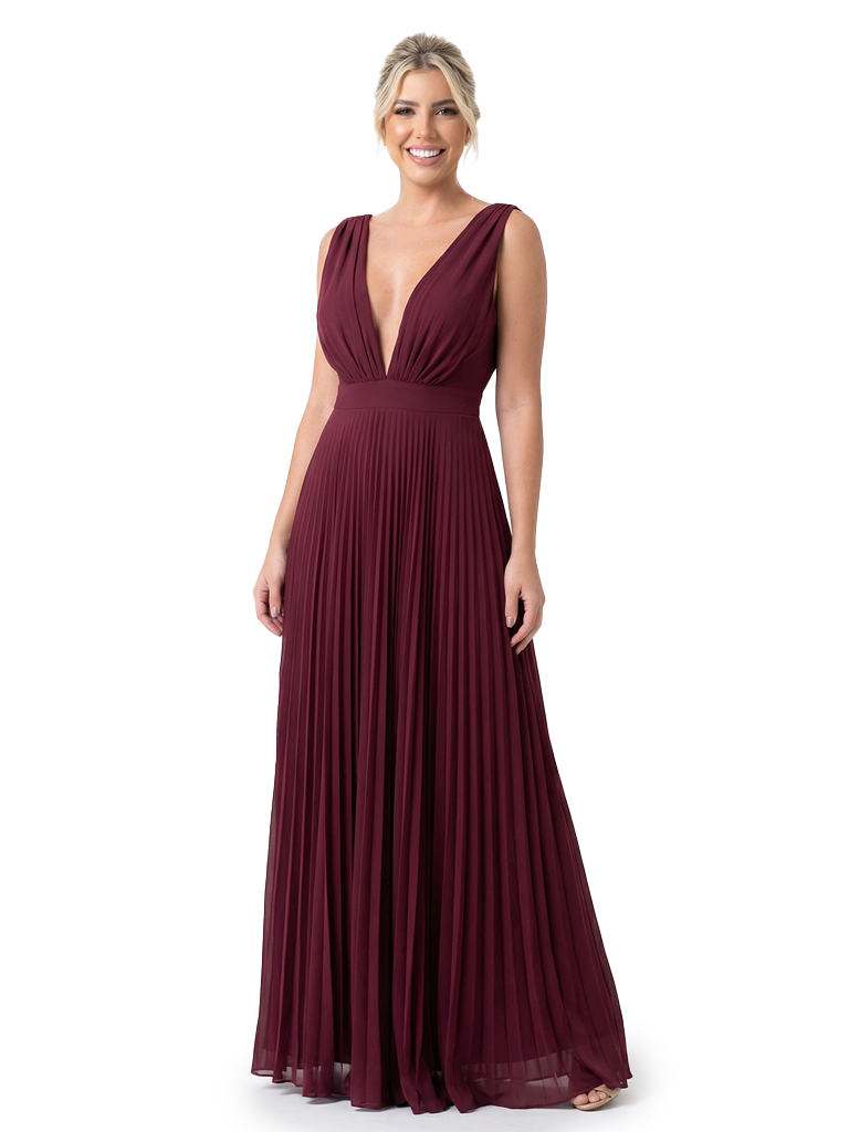 Flowy V-Neck Pleated Chiffon A-Line Maxi Mother Of The Groom Evening Gown