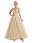 Beautiful Spaghetti Strap Prom Gown Lace Applique Classy Ball Gown Silhouette for Formal Events