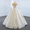 ChicSew Luxurious Illusion Long Sleeves Ball Gown Wedding Dress