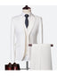 White Casual Men's 3 Pieces Mens Suit Regular Fit Notch Lapel Tuxedos (Blazer+vest+Pants) CN434