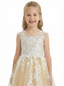 Lace Appliqué Flower Girl Dress, Spaghetti-Straps Illusion-Neck, Elegant Tulle Skirt