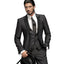 Elegant Classic 3 Piece Men's Suit with Regular Fit and Sophisticated Peak Lapel