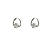 Silver Exquisite Zircon Ear Buckle