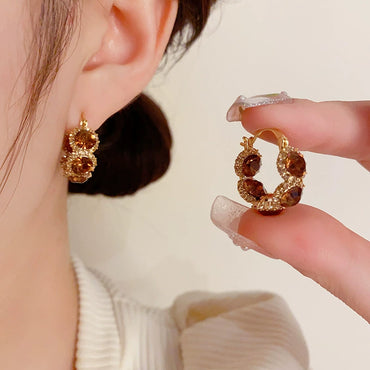 Vintage Zircon Circle Earrings Design Earrings
