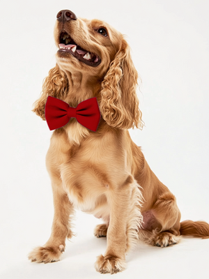 Dog Crepe Bow Tie