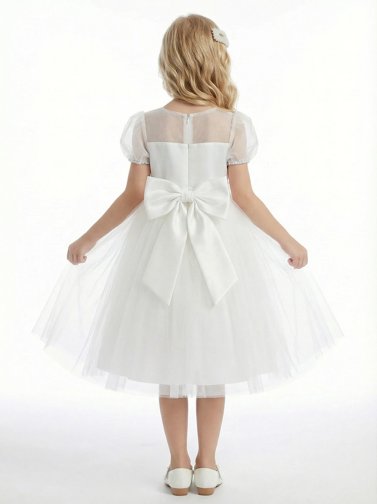 Sheer Yoke Puff Sleeve Flower Girl Dress Illusion-Neck  A-Line Tulle Party Dress