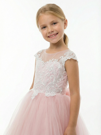Princess Flower Girl Gown with Illusion Neck Sleeveless A Line Tulle Skirt Lace Train Dress