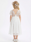Short Sleeves V-neck Lace Princess Dress Flower Girl Dress Birthday Party Dresses