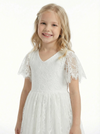 Short Sleeves V-neck Lace Princess Dress Flower Girl Dress Birthday Party Dresses