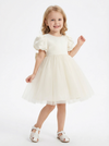 Puff Short Sleeves Jewel Satin Princess Dress Flower Girl Dress Birthday Party Dresses