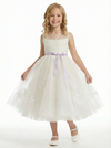 Ribbons Sleeveless Jewel Tulle A-line Princess Dress Flower Girl Dress Birthday Party Dresses