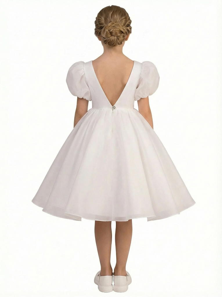 Wedding Flowers Pageant Dress V Neck Flower Princess Dress Princess Lace