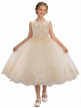 Flower Princess Dress Childrens Communion Pageant Dress Flower Dresses for Wedding