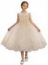Flower Princess Dress Childrens Communion Pageant Dress Flower Dresses for Wedding