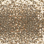 Sequin