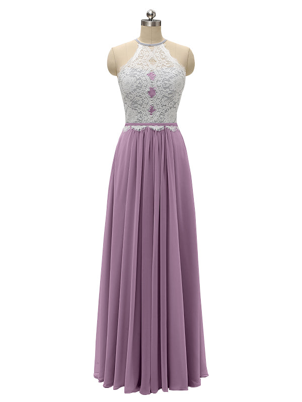 wisteria|xanthe