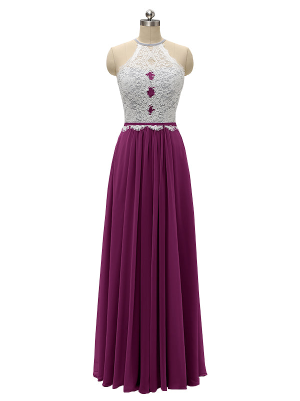 orchid|xanthe